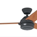ventilador_de_techo_hunter_-52