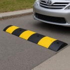 lomo_de_toro_99_cms_estandar