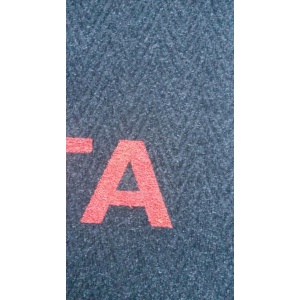 alfombra-con-logo-doble-funcion-seca-y-atrapa-polvo-solarfilm-008
