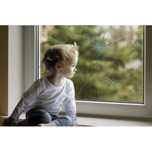 ventana_-_copia_inpixio
